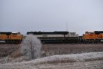 BNSF 9461/9476/8929